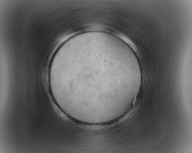 X0000085291000200703301934