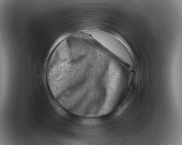 X0000085291002200703301934