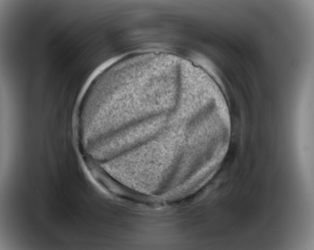 X0000085291003200703301934