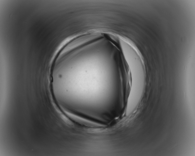 X0000085291005200703301934