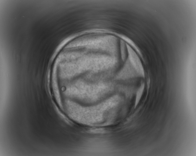 X0000085291006200703301934