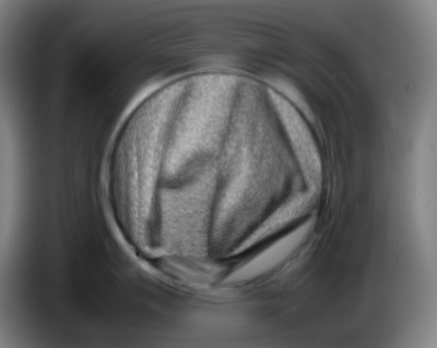 X0000085291007200703301934
