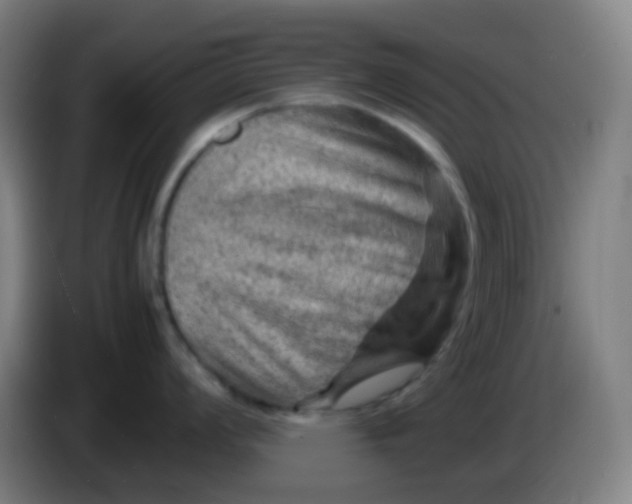 X0000085291008200703301934