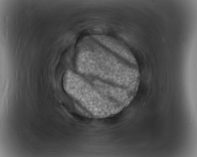 X0000085291009200703301933