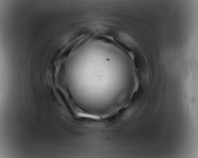X0000085291010200703301933