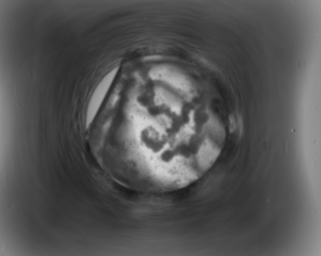 X0000085291011200703301933