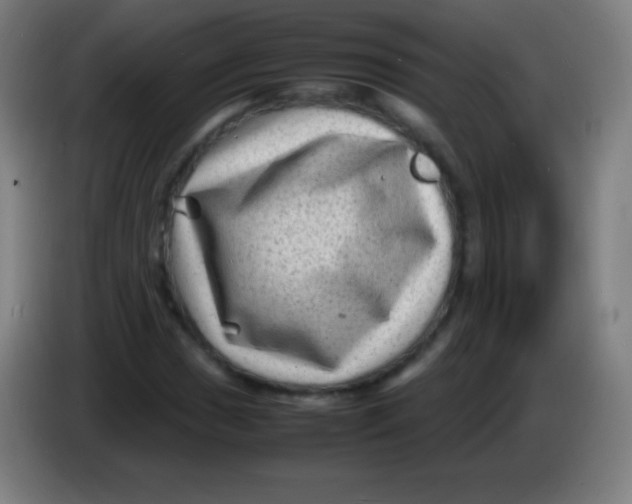 X0000085291017200703301933
