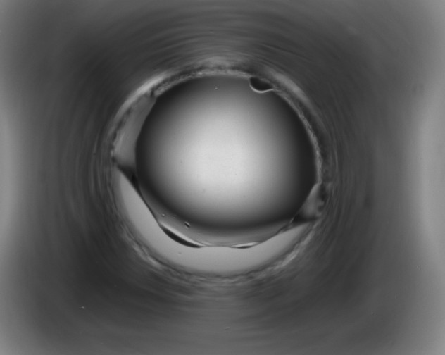 X0000085291018200703301933