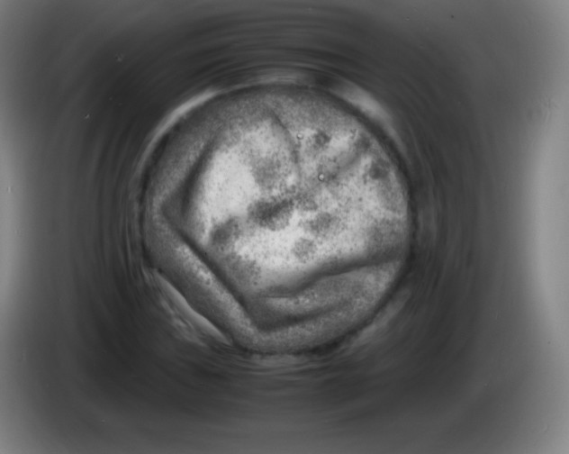 X0000085291019200703301933