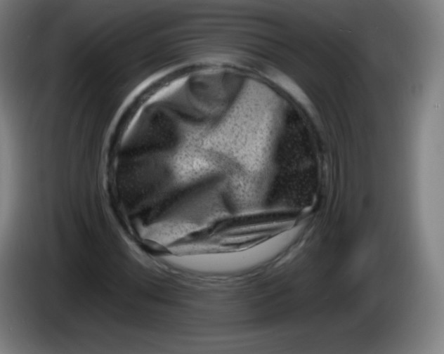 X0000085291020200703301933