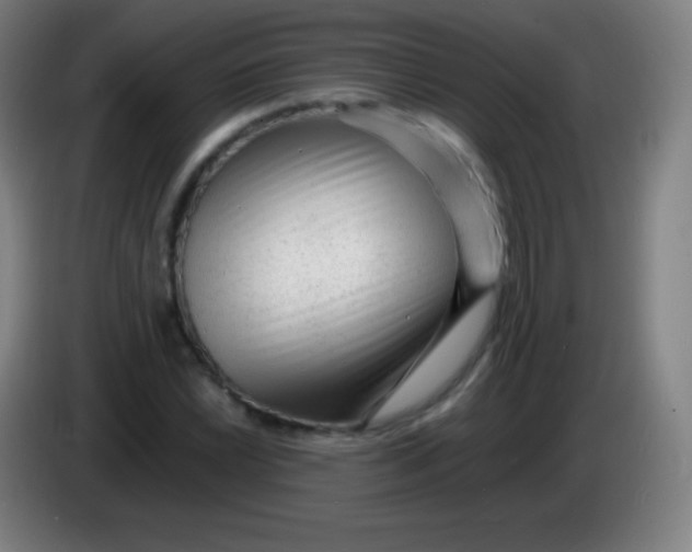 X0000085291022200703301933