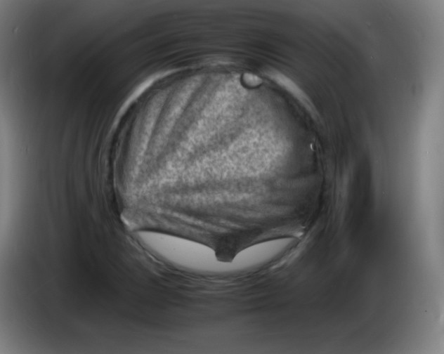 X0000085291023200703301933