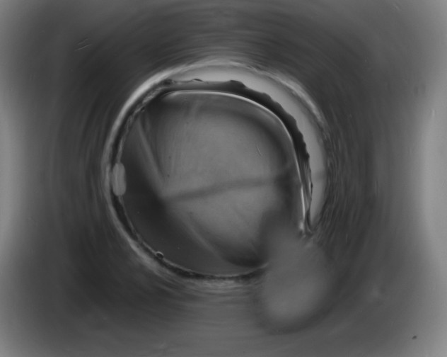 X0000085291024200703301933