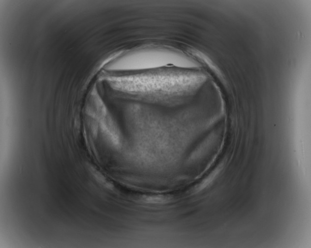 X0000085291025200703301933