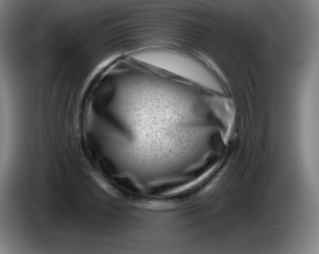 X0000085291026200703301933