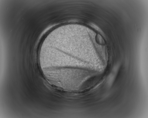X0000085291027200703301933