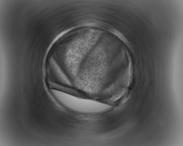 X0000085291028200703301933