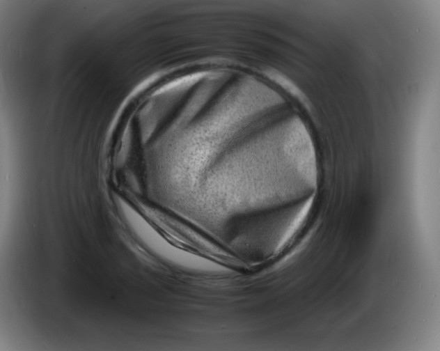 X0000085291029200703301933