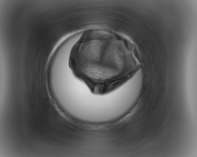 X0000085291030200703301933