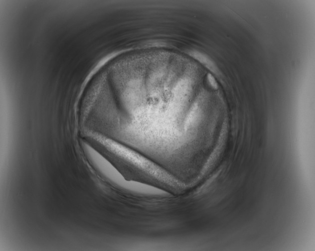 X0000085291031200703301933