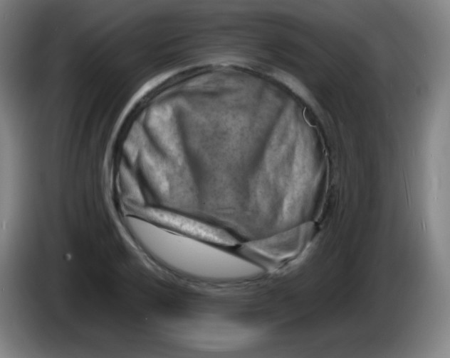 X0000085291032200703301933