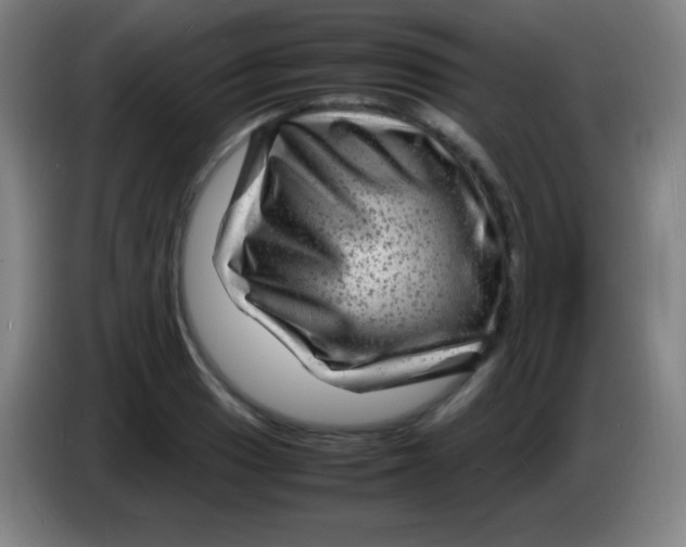 X0000085291033200703301933