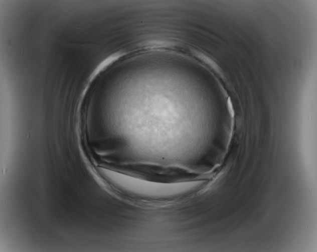 X0000085291034200703301933