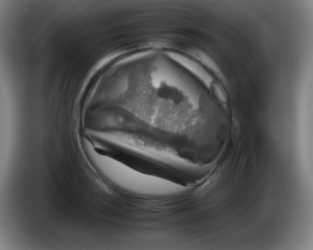 X0000085291035200703301933