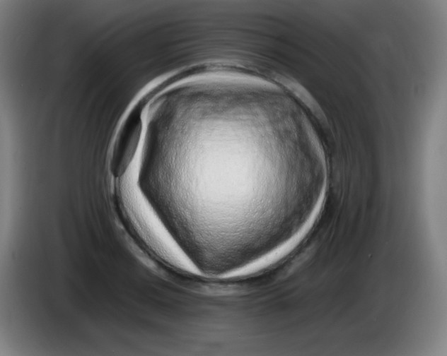 X0000085291036200703301933