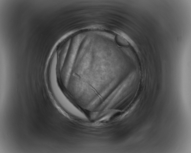 X0000085291037200703301934