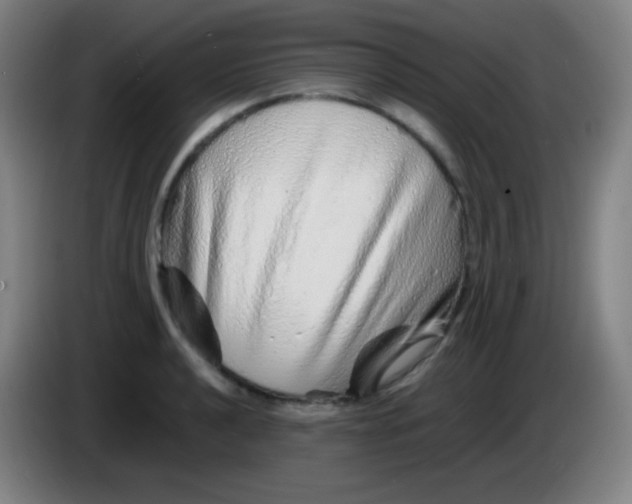 X0000085291040200703301934