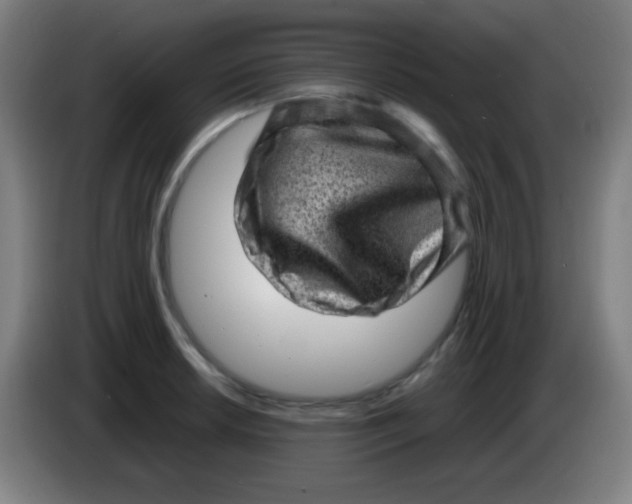 X0000085291042200703301934