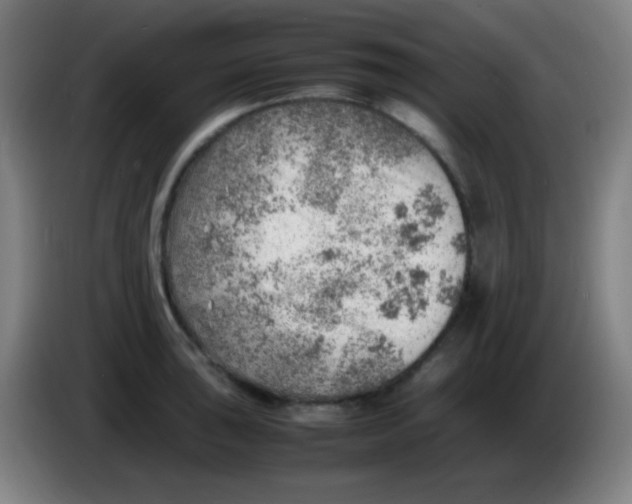X0000085291043200703301934