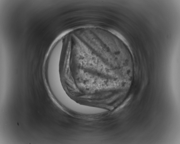 X0000085291045200703301934