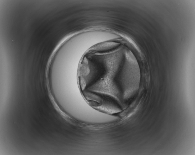 X0000085291046200703301934