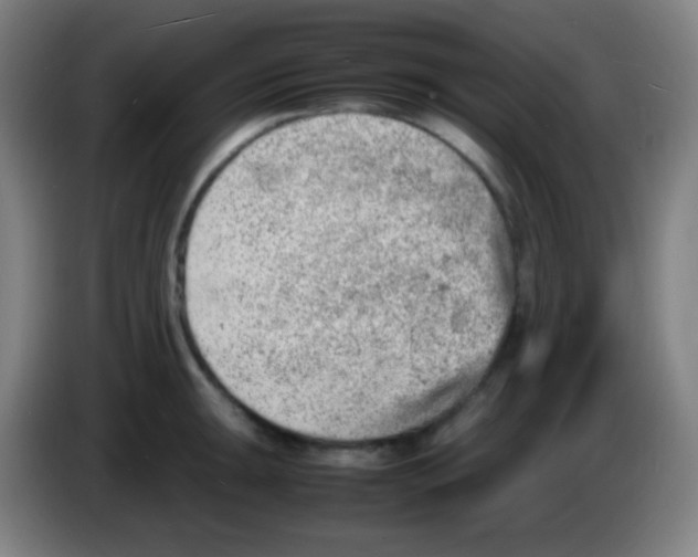 X0000085291047200703301934
