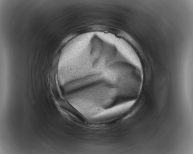 X0000085291049200703301934