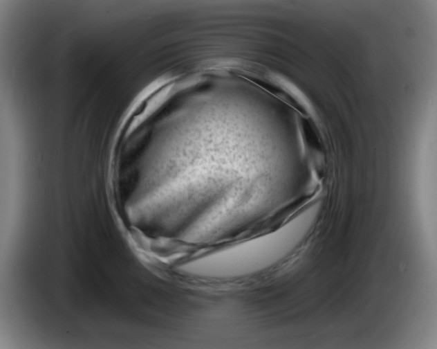 X0000085291050200703301934