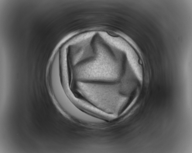 X0000085291053200703301934