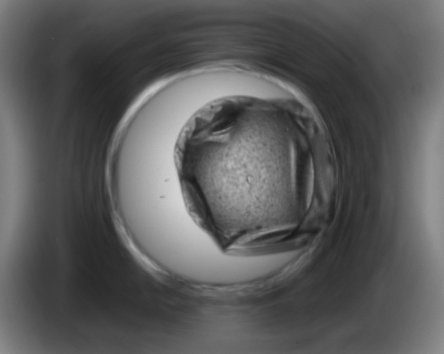 X0000085291054200703301934