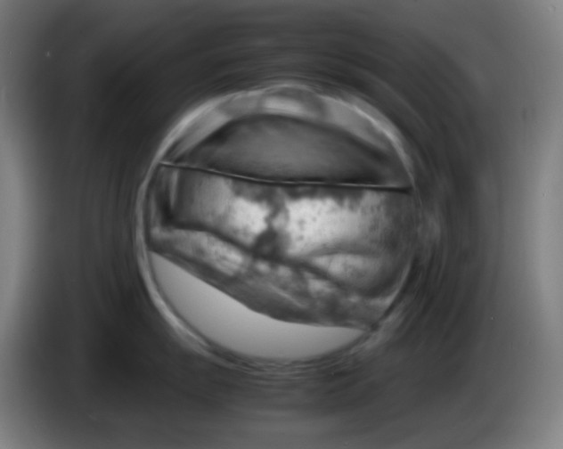 X0000085291055200703301934