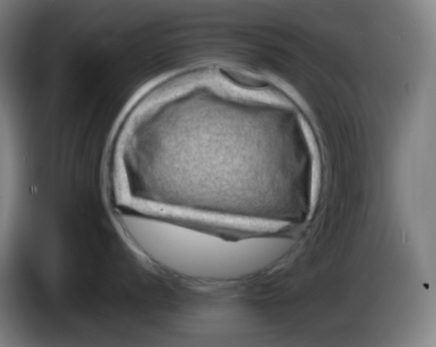 X0000085291056200703301934