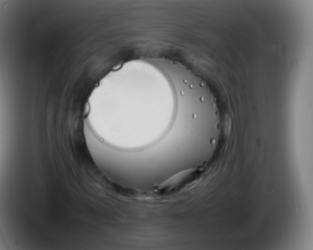 X0000085291059200703301933