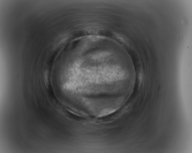 X0000085291060200703301933