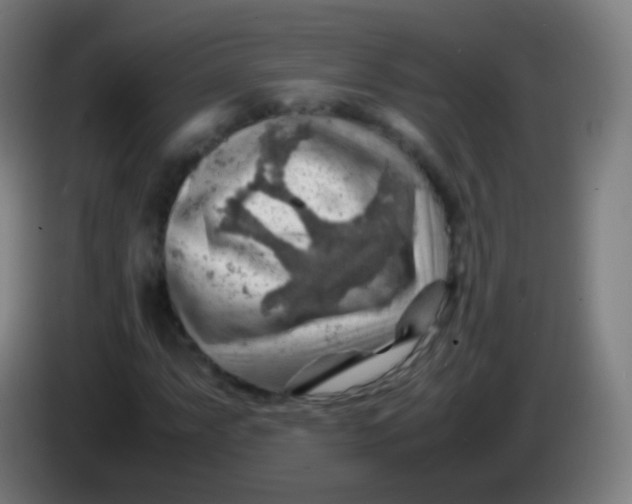 X0000085291063200703301933