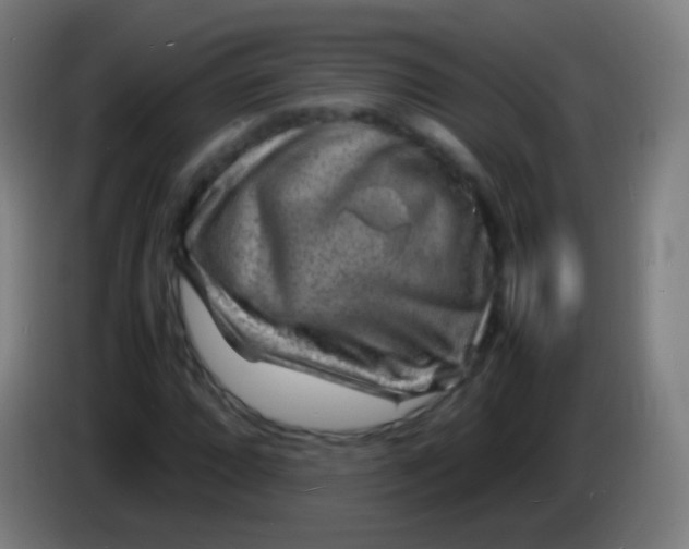 X0000085291064200703301933