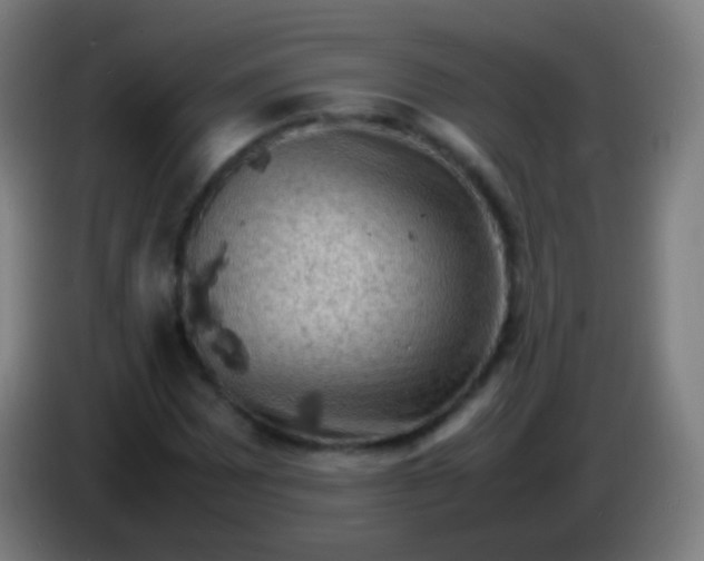 X0000085291065200703301933