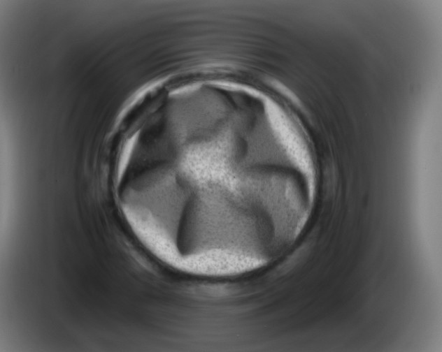 X0000085291066200703301933