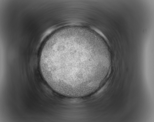 X0000085291067200703301933