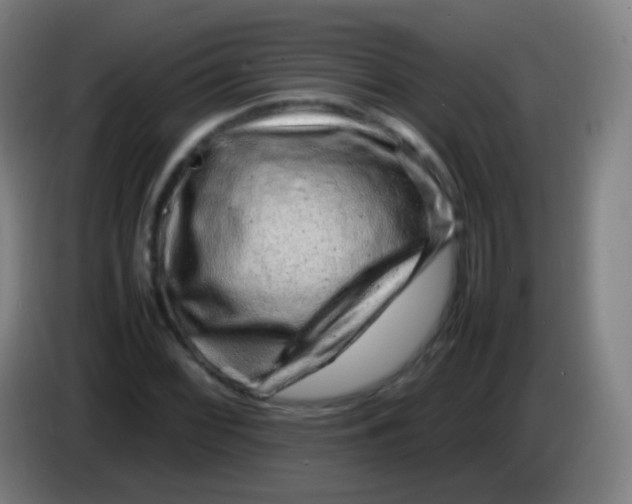 X0000085291068200703301933